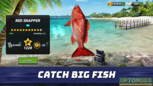 Fishing Clash gift codes 2022