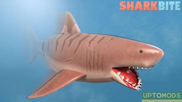 Shark Bite Codes to Claim Free Shark Teeth